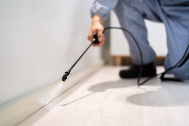 Rodent Entry Point Assessment in East Newark