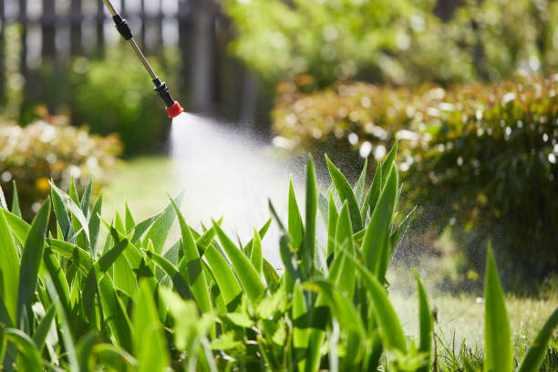 Tamper-Resistant Bait Stations for Rodents in East Newark