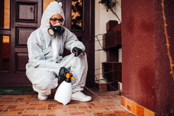 Attic and Crawl Space Rodent Treatment in East Newark